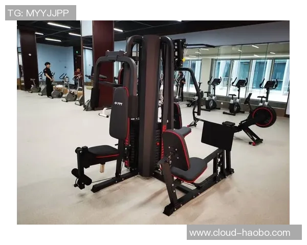 全面掌握健身器材使用技巧的手机应用推荐与使用指南